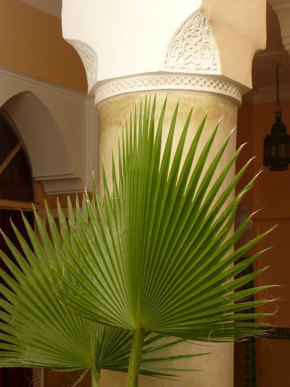 Riad Ker Saada มาร์ราเกช ภายนอก รูปภาพ